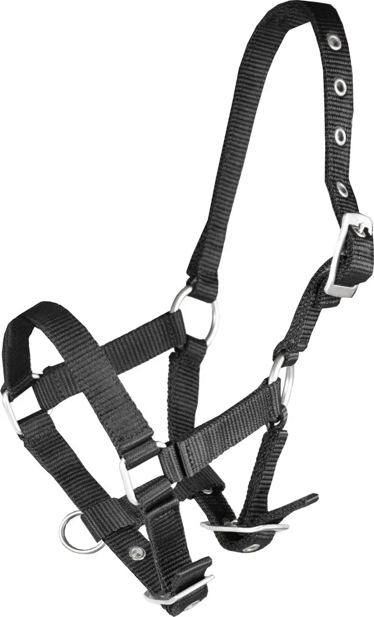 Horka Halster Basic Veulen - afbeelding 2 van 6