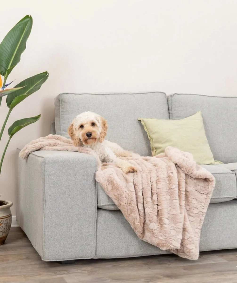 Trixie Hondendeken Cosy Fleece - One Size - Beige