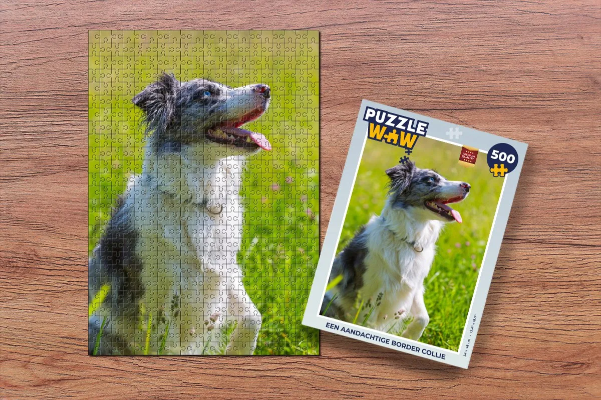 PuzzleWow Legpuzzel Border Collie 500 Stuks - Multicolor