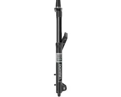 Rockshox Domain Gold Isolator Rc Crown Boost™ 15 X 110 Mm 44 Offset Debonair C
