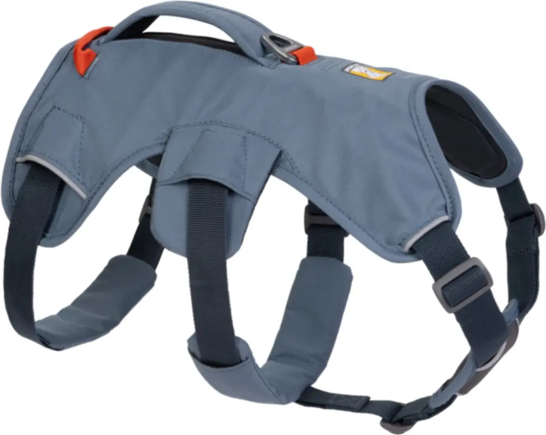 Ruffwear Web Master Harness Blauw