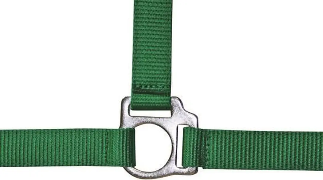 Halster -Stars Economy- lichtgroen Pony