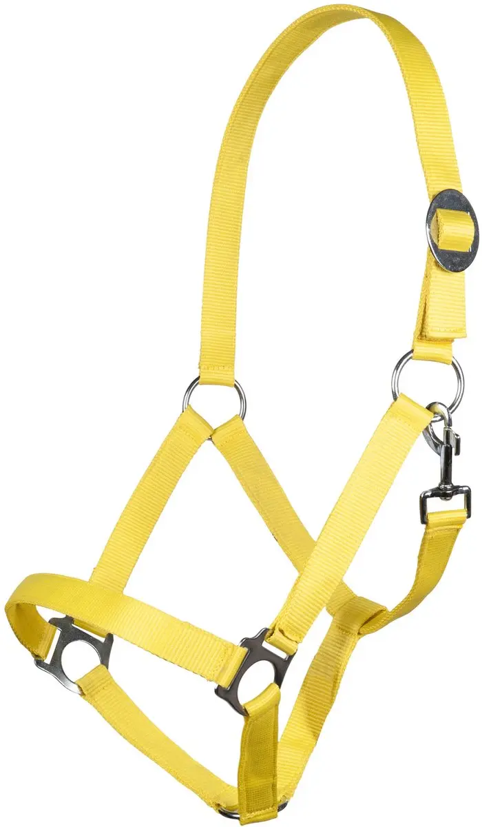 Halster -Stars Economy Softice- neongeel Cob