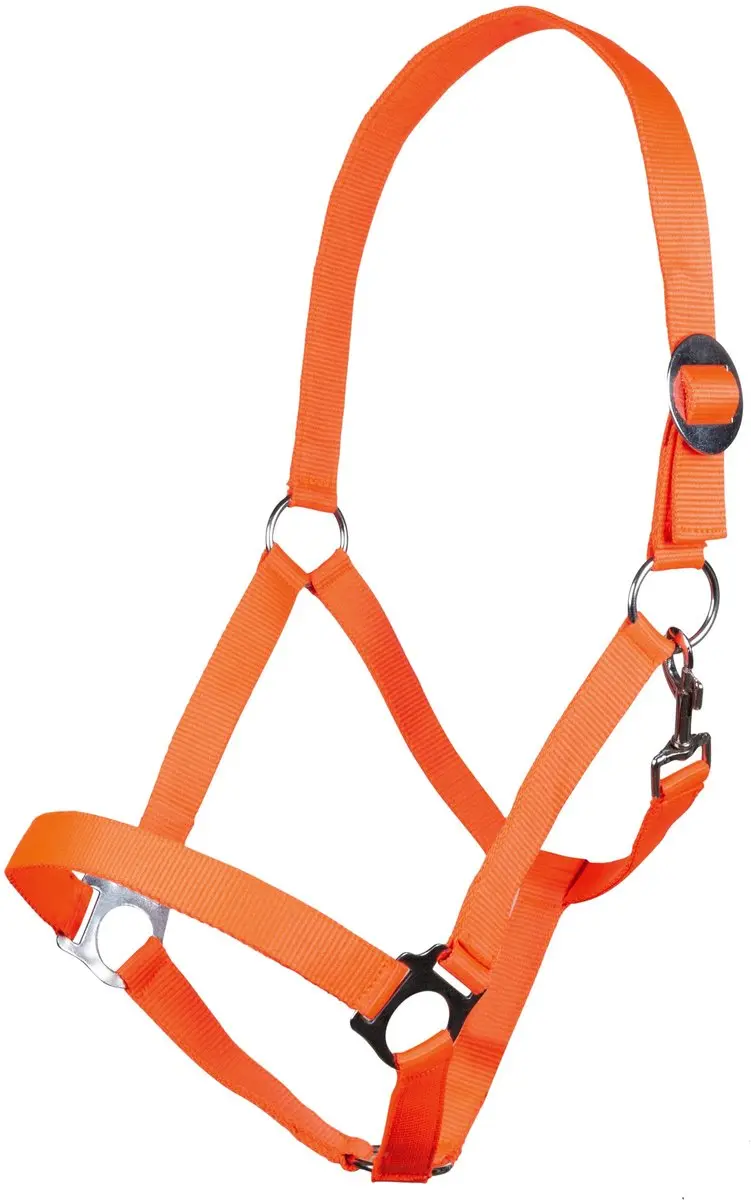 Halster -Stars Economy Softice- neonoranje Pony