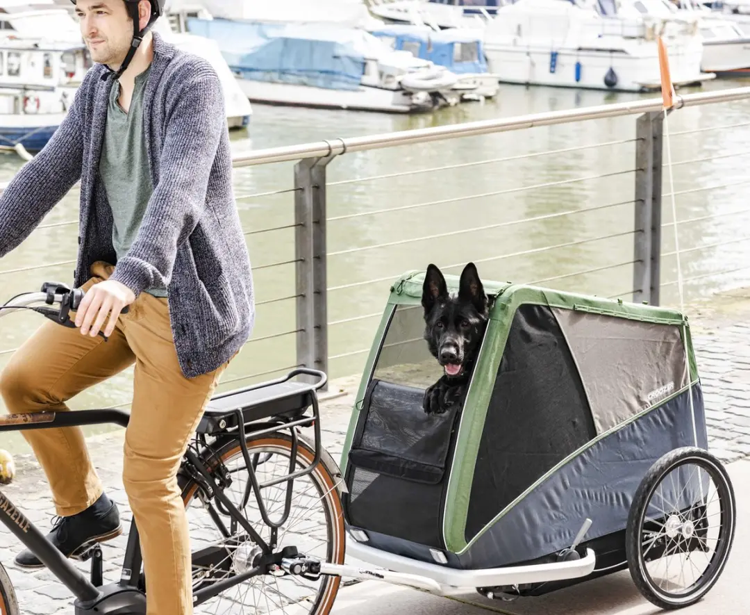 Croozer Hondenfietskar Bruuno