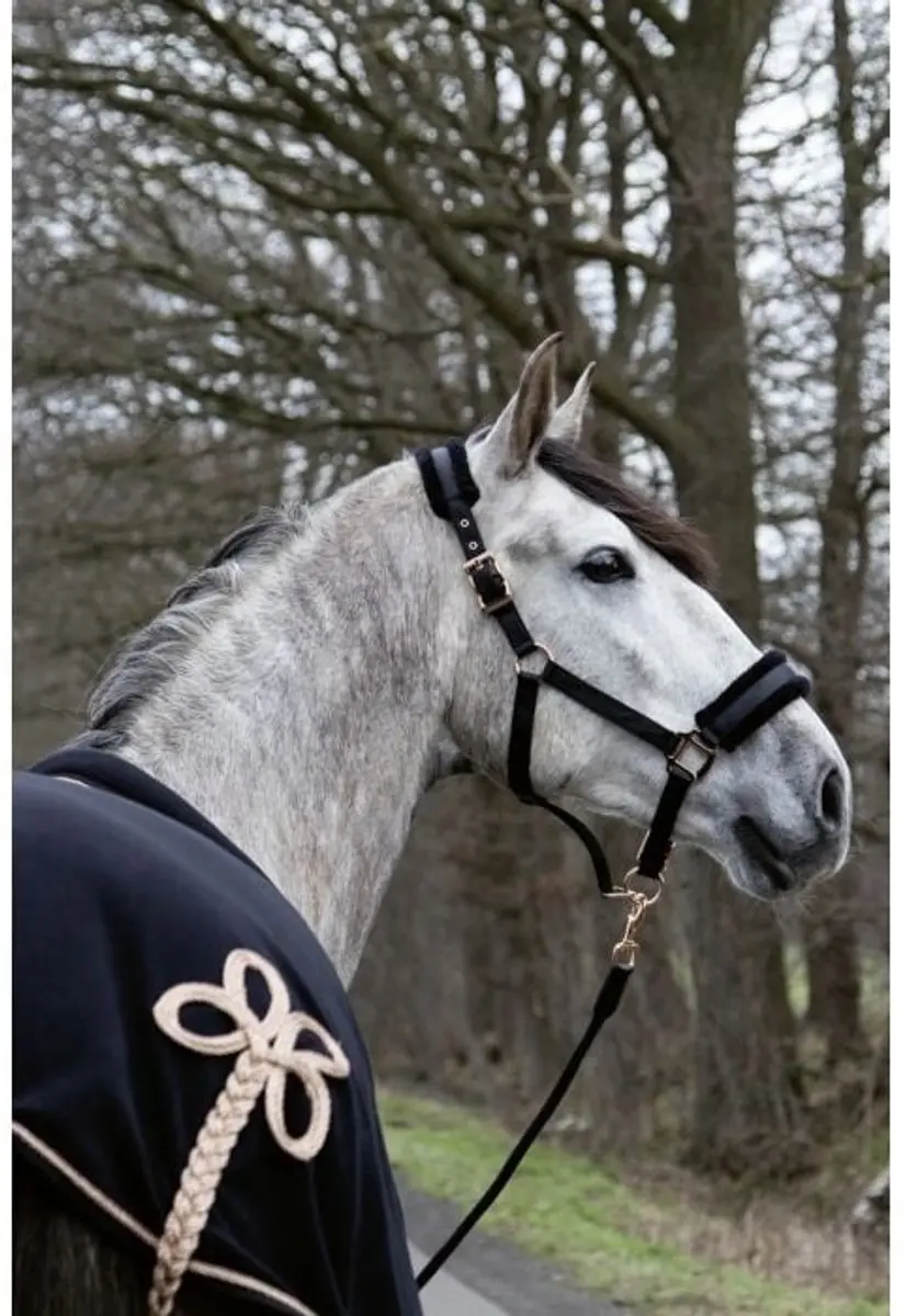 HKM Halster Rosegold Glamour Style - Zwart - Pony - afbeelding 3 van 3