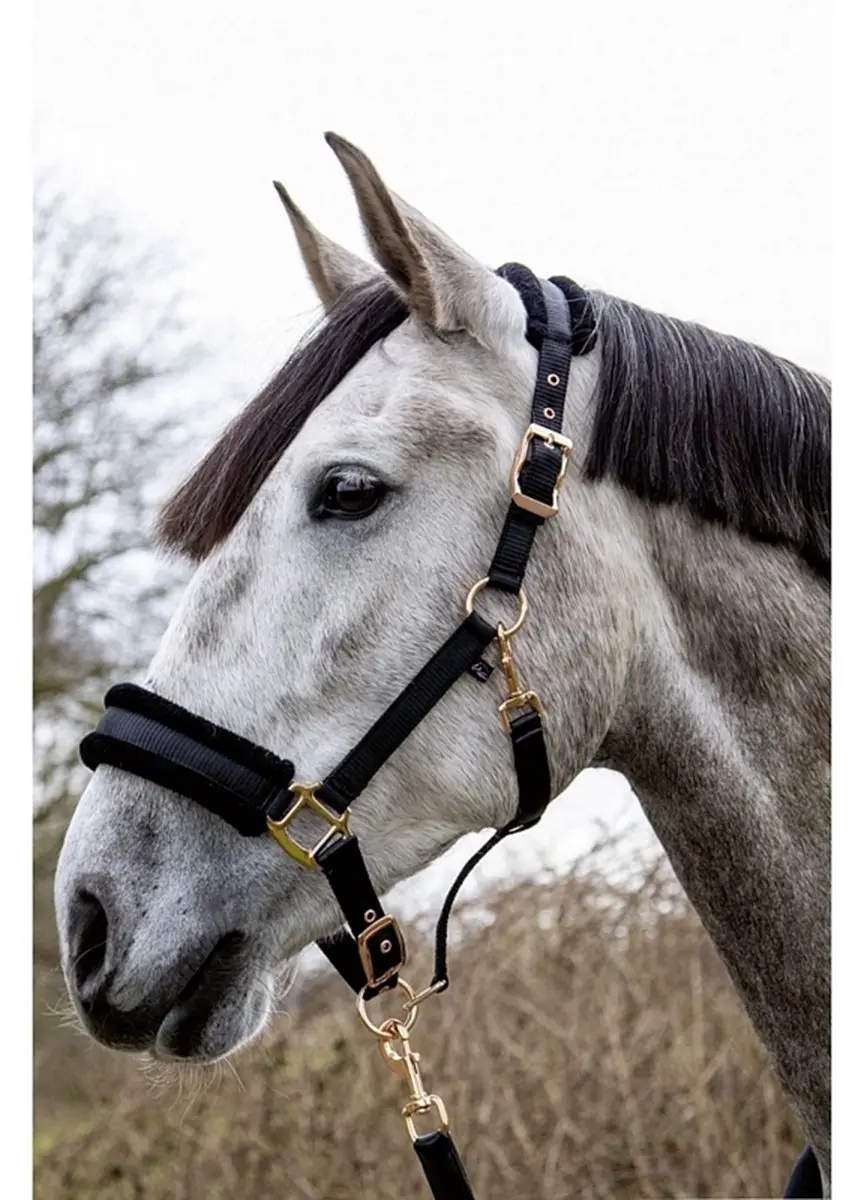 HKM Halster Rosegold Glamour Style - Zwart - Pony - afbeelding 2 van 3