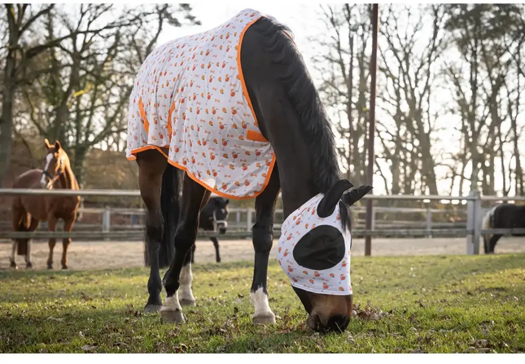 HKM Paardenvliegendeken Splash Oranje - afbeelding 2 van 3