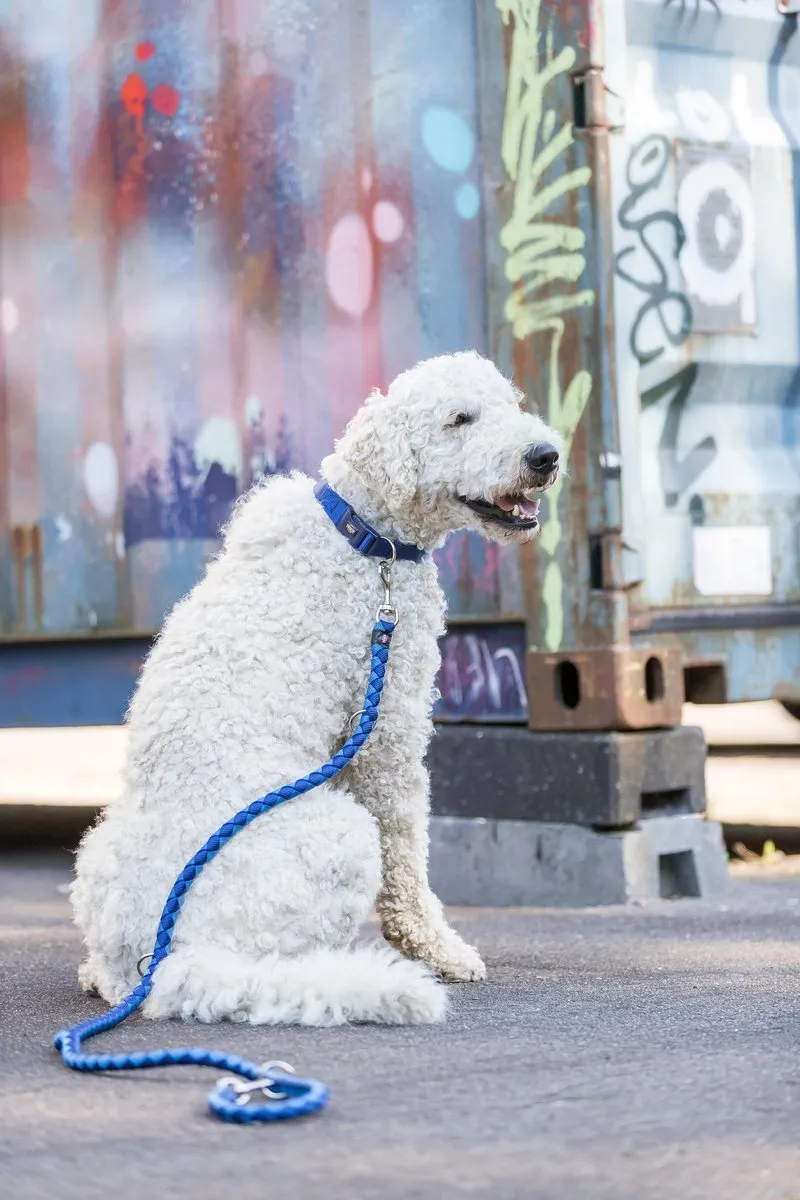 Trixie Cavo Hondenriem Verstelbaar - Indigo/Royalblauw