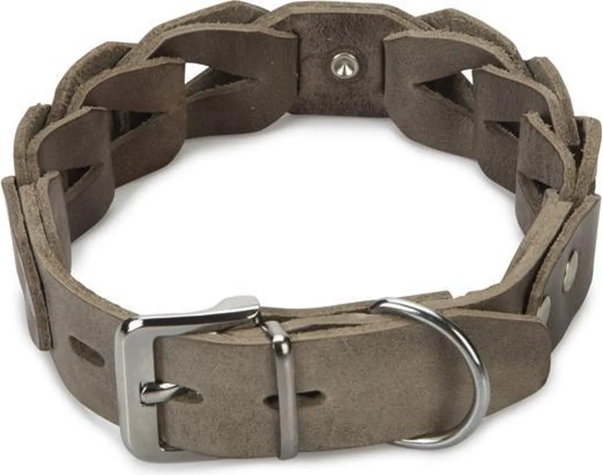 Beeztees Connex Halsband Hond
