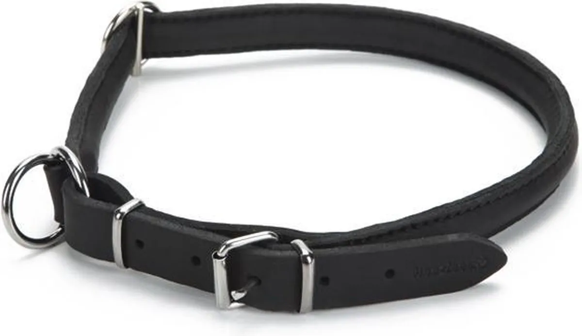 Beeztees Leren Halsband Djenga