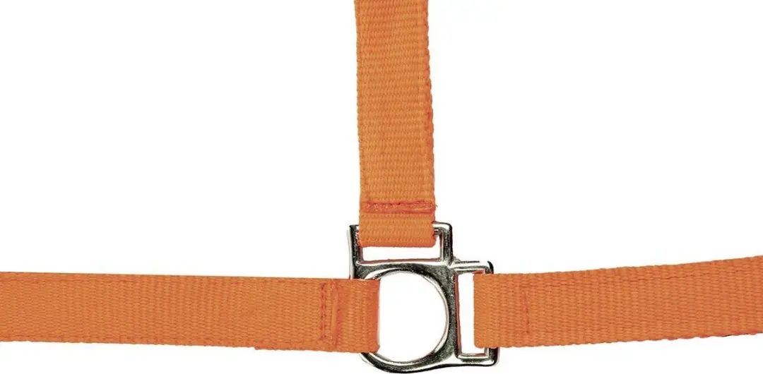 Hkm Stars Softice Soft Padding Halster Oranje Extra Full