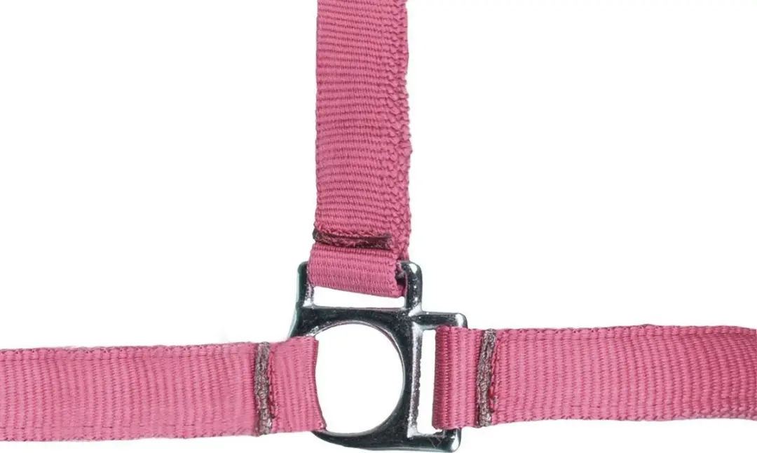 Halster -Stars Softice- roze Full