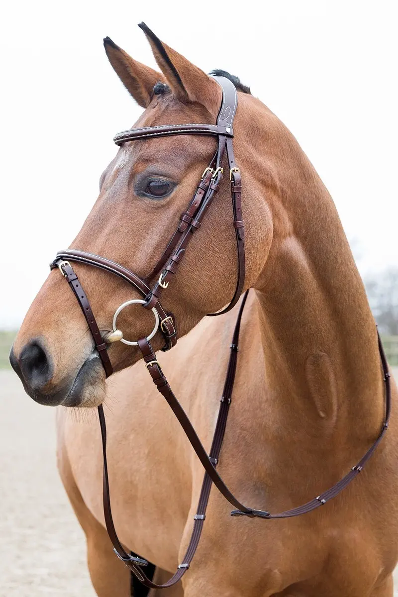 Horze Constance Gevoerd Gecombineerd Hoofdstel, Light Brown, Vollblut