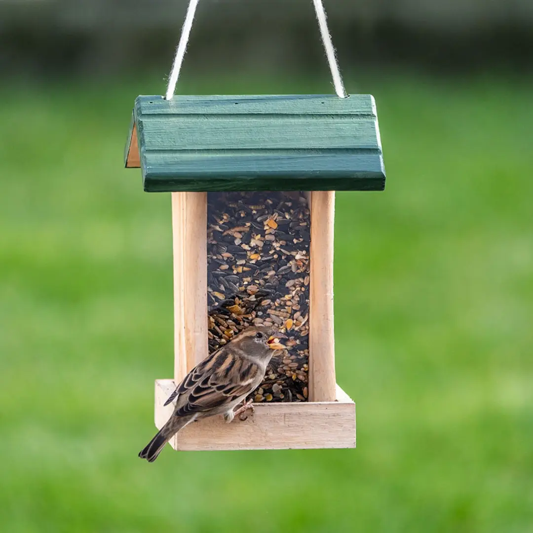 Vogelbescherming Nederland Premium zadenmix insecten 1kg - afbeelding 4 van 6