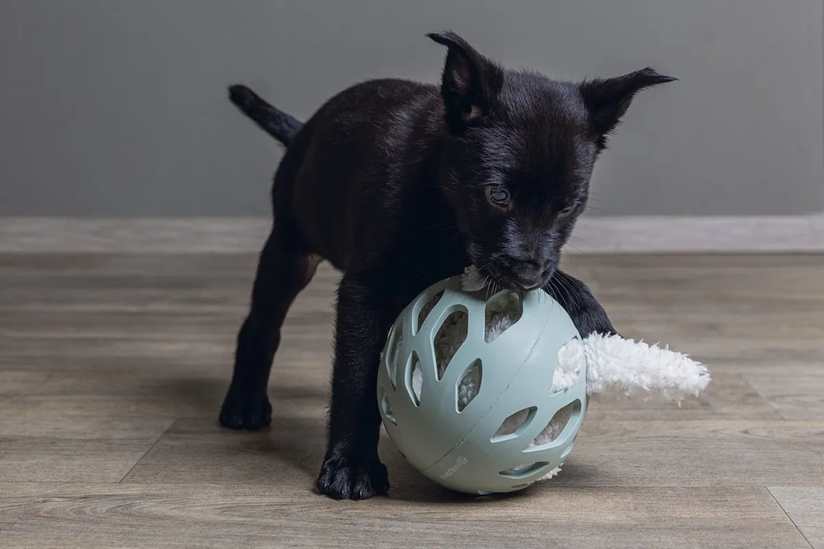 Beeztees Puppy Odoro Play Ball - Groen