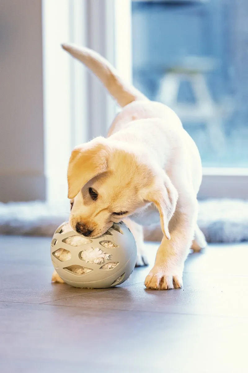 Beeztees Puppy Odoro Play Ball - Groen