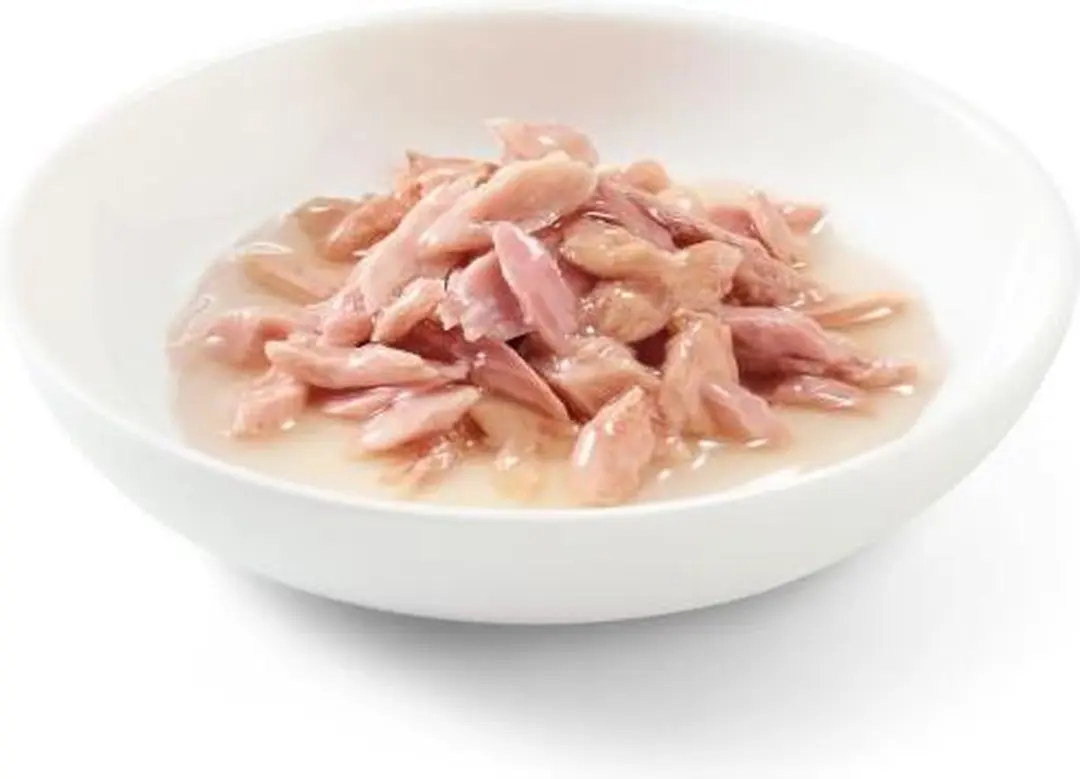 Schesir Natvoer voor Katten Tonijn - Multipak - afbeelding 6 van 6