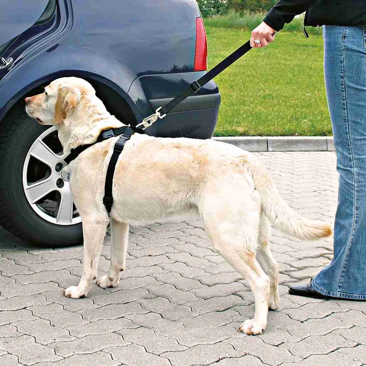 Trixie Hondentuig Auto 70-90cm - Zwart - afbeelding 6 van 6