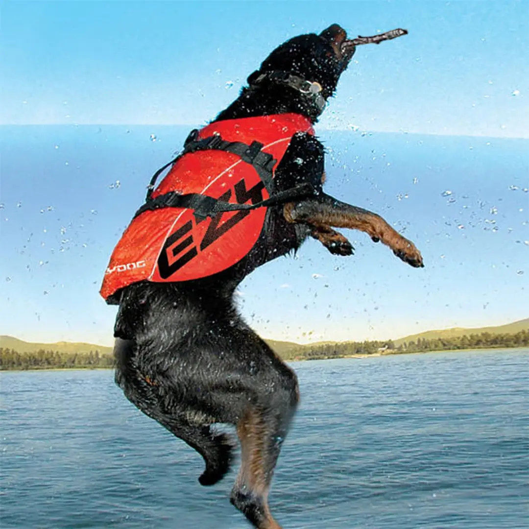 Ezydog DFD Boost Zwemvest M Rood - afbeelding 4 van 6
