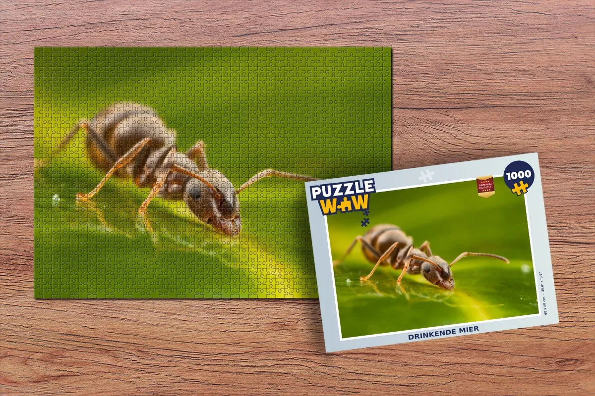 PuzzleWow Mier - Blad Regenwater Legpuzzel 1000 Stuks - Multicolor