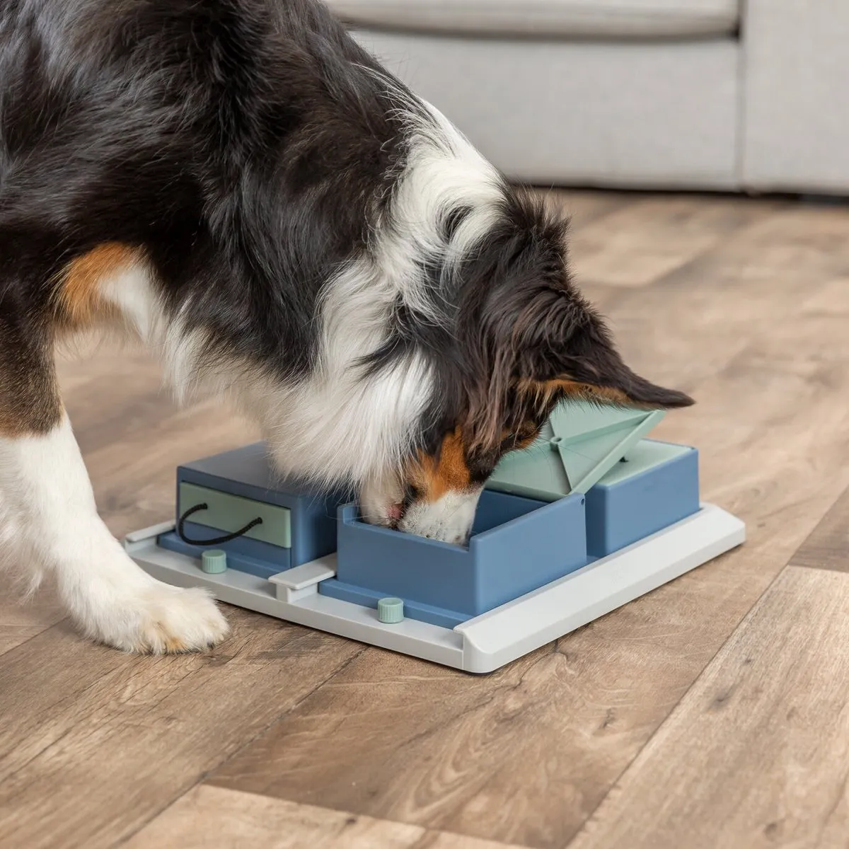 Trixie Dog Activity Poker Box 1 - 31x31cm - Blauw