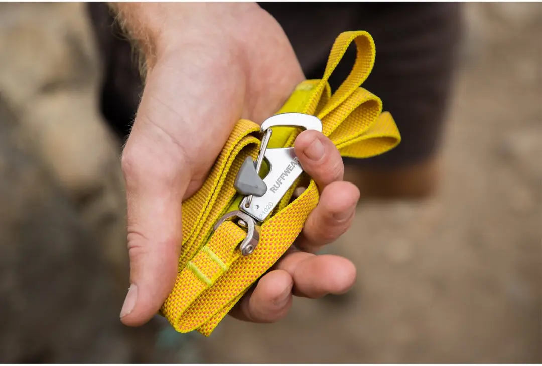 Ruffwear Flagline