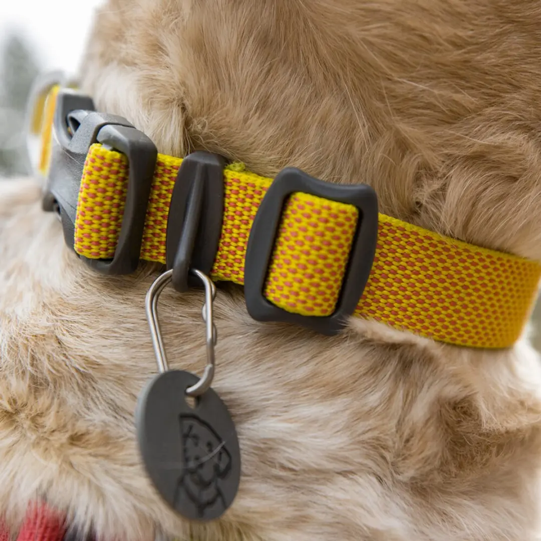 Ruffwear Hi & Light Collar