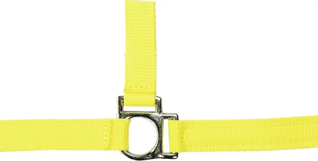 Halster -Stars Softice- neongeel Koudbloed paard