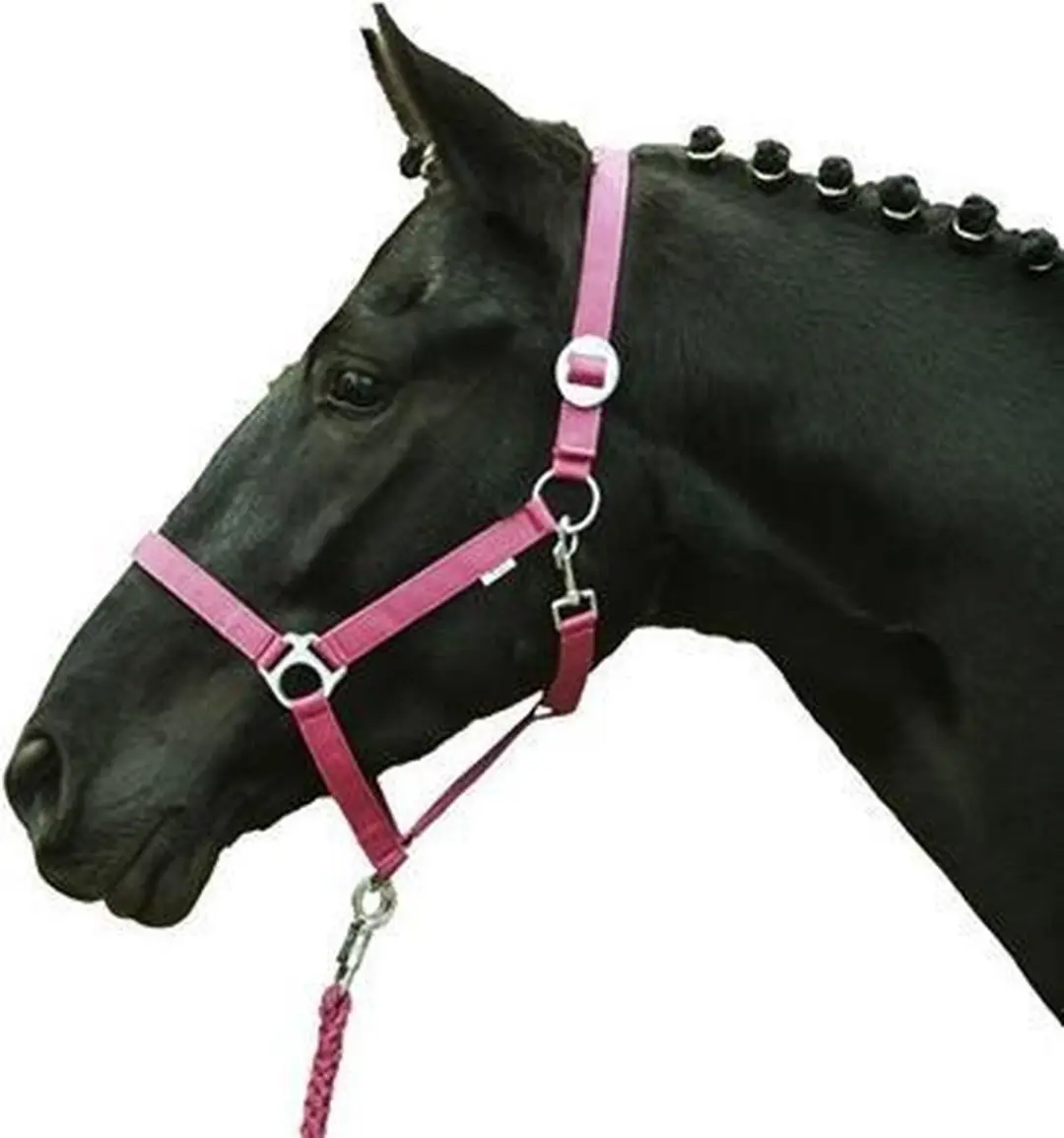 Halster -Stars Economy Softice- roze Full