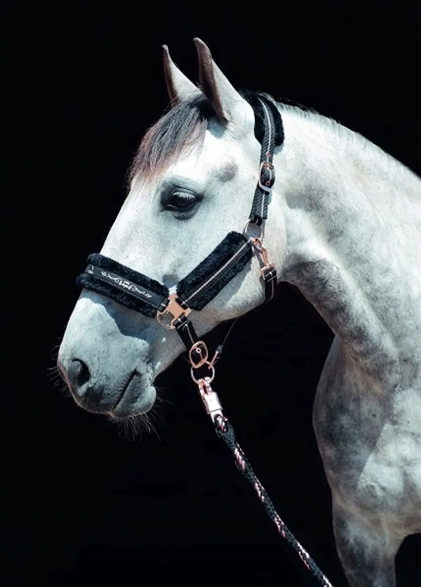 HKM Rosegold Halster Navy Pony