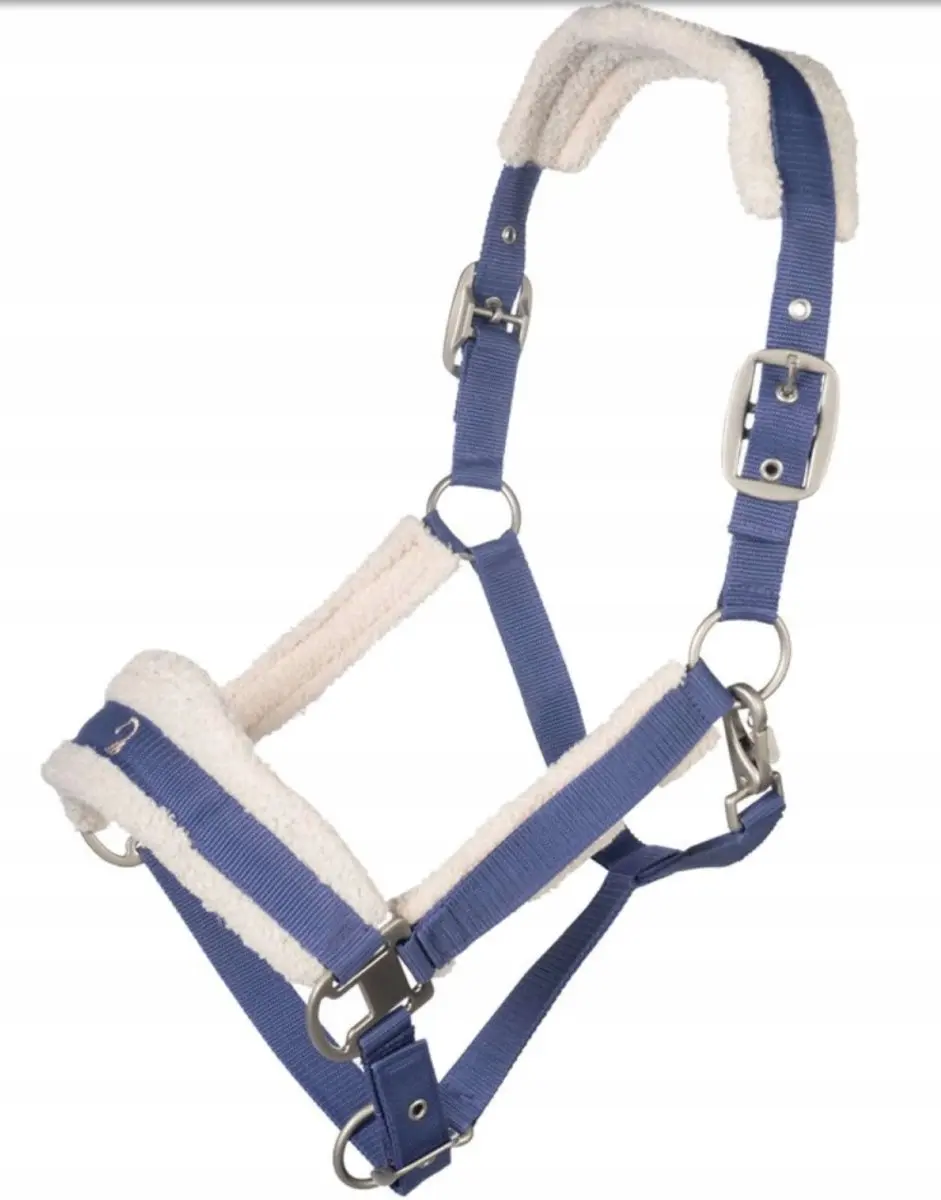HKM Arezzo Indigo Kantari voor Paarden
