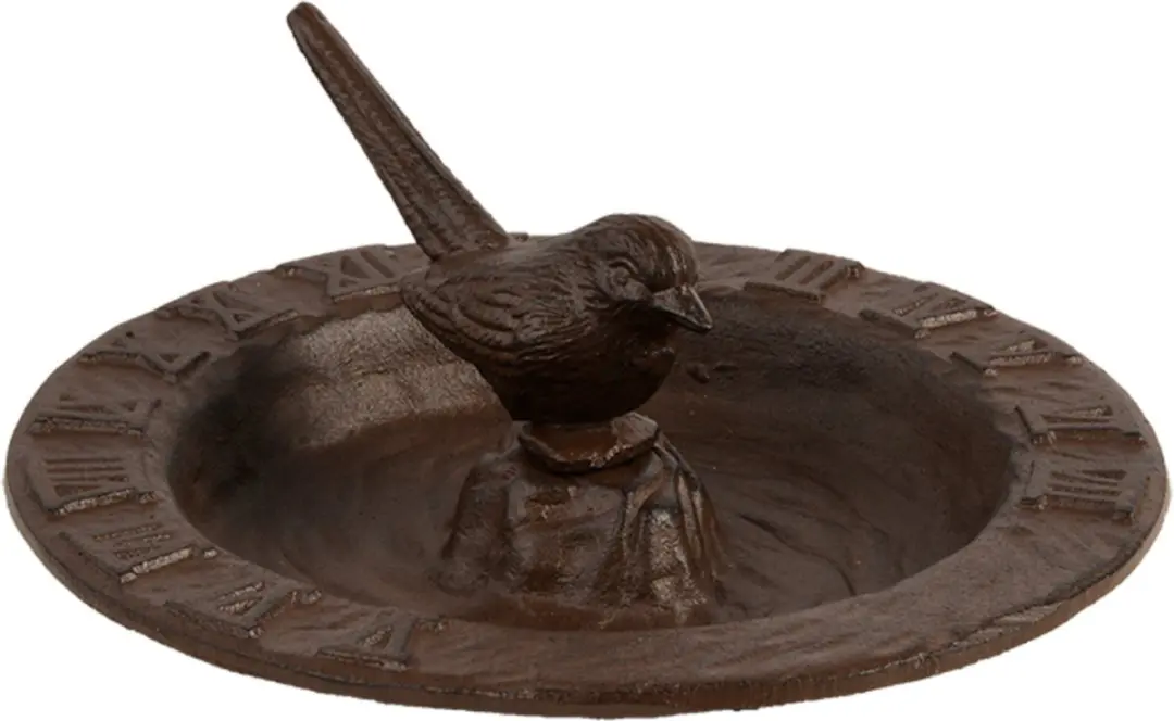 Zonnewijzer Met Vogelbad