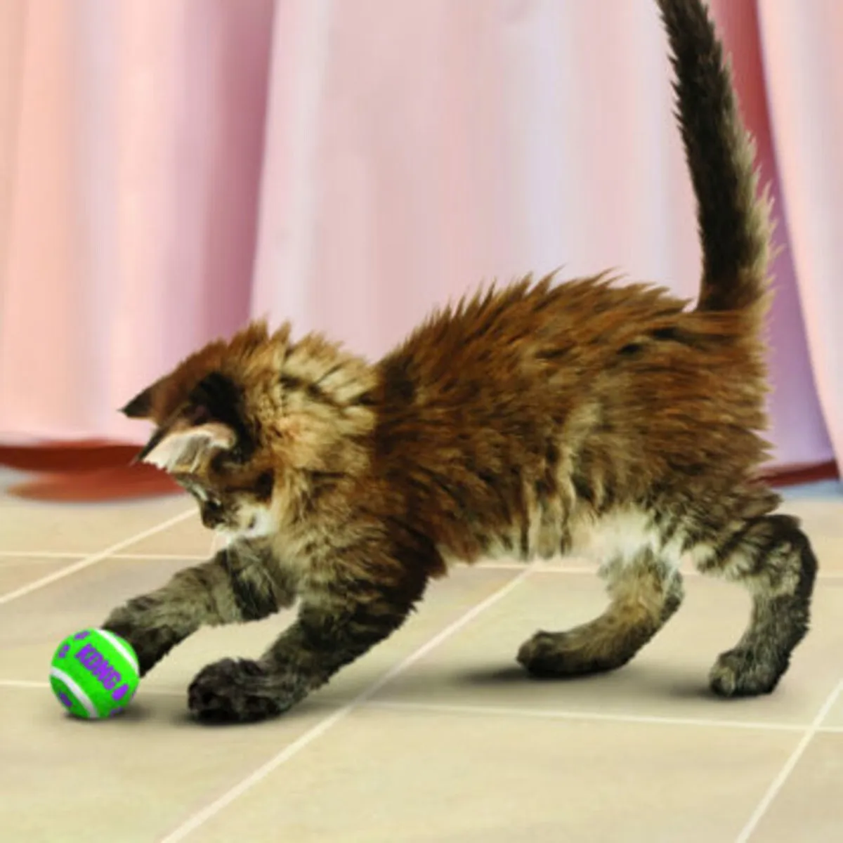 KONG Kat Tennisballen - 3 Stuks - afbeelding 6 van 6