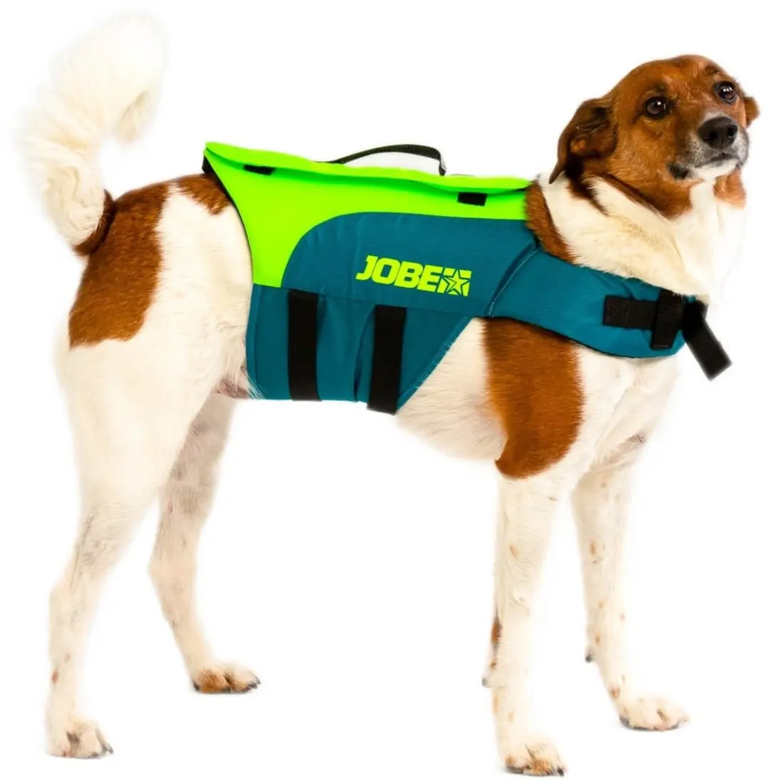Jobe Hunde Schwimmweste Pet Vest Lime/Teal-L