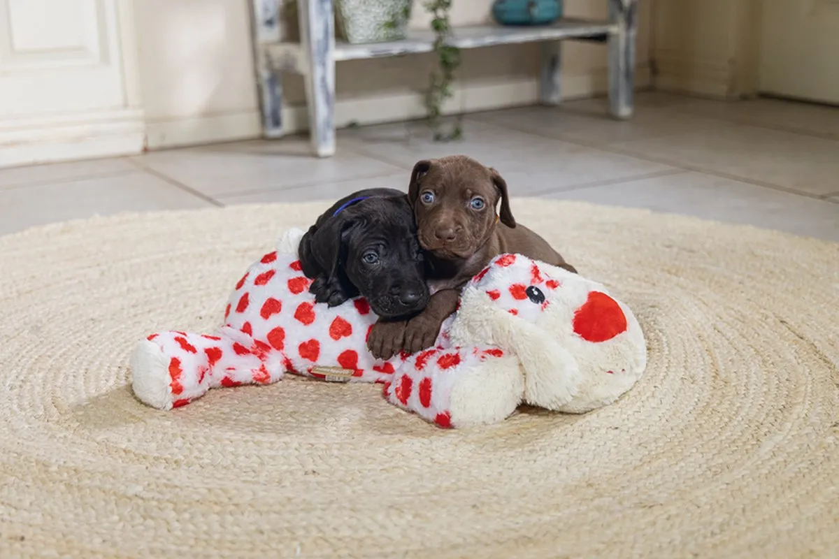 Beeztees XL-Knuffel Suki Hondenspeelgoed - 45x46x11cm