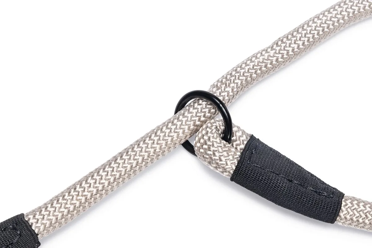 Beeztees Premium Parinca Hondenhalsband - Grijs - 50x1cm