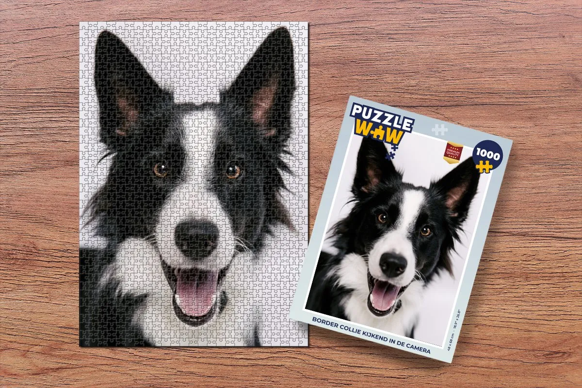 PuzzleWow Border Collie Legpuzzel 1000 Stuks