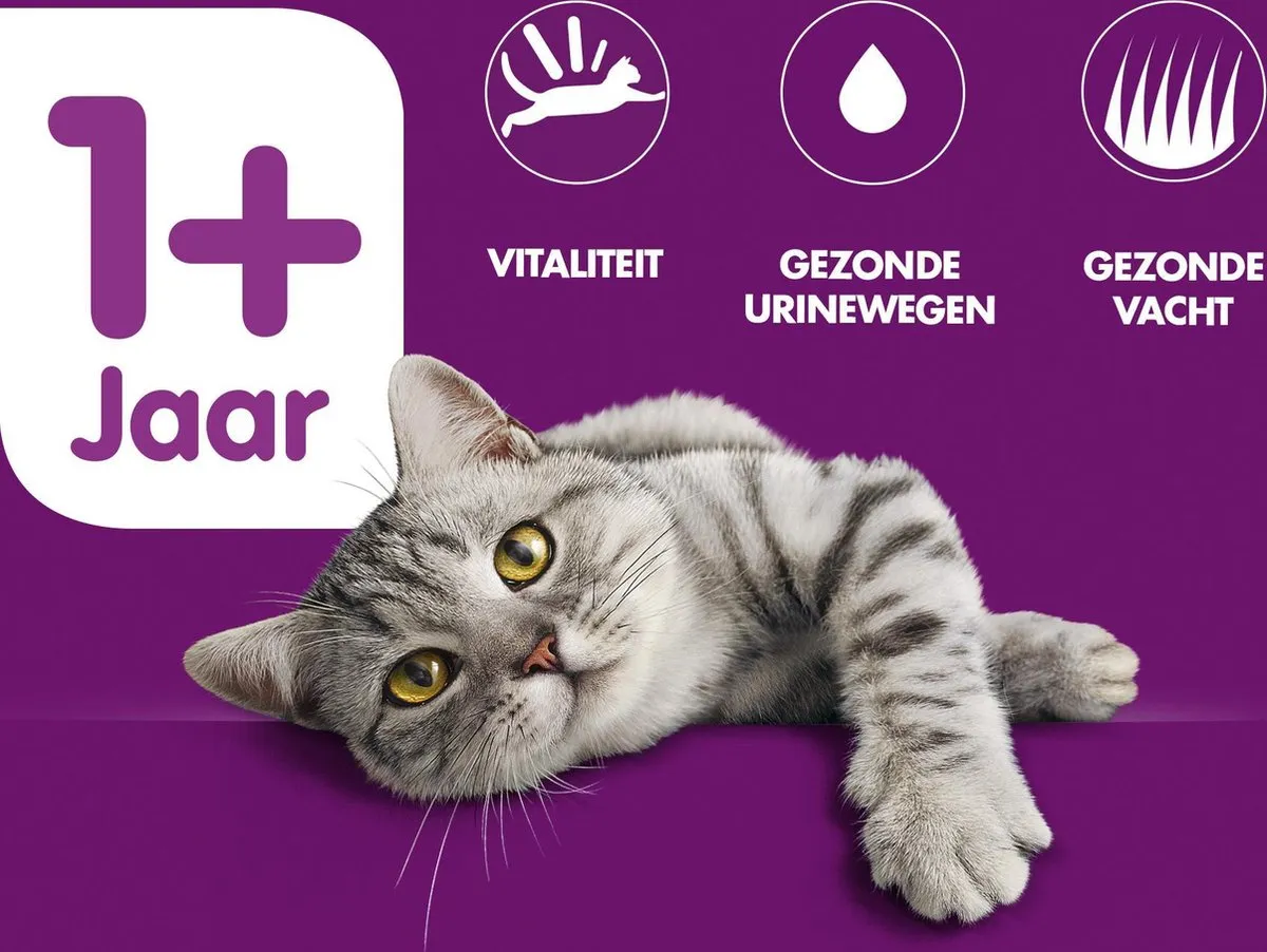 Whiskas 1+ Adult Kip Droogvoer 3,8 kg