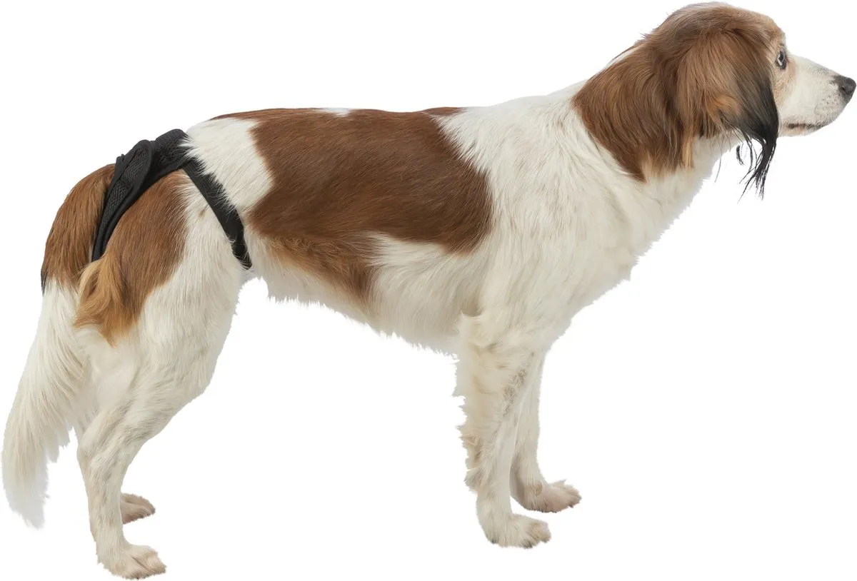 Trixie Beschermbroekje Comfort Mesh - Zwart XL