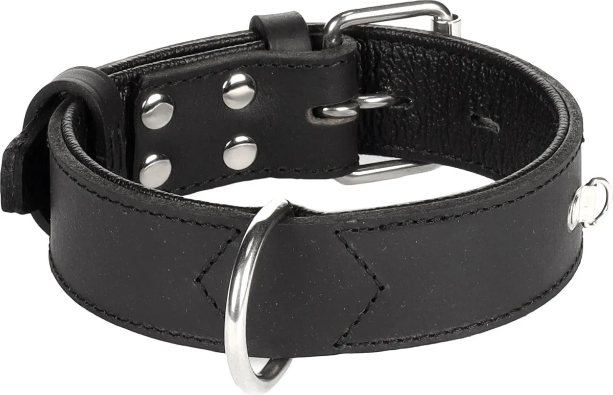 Flamingo Seattle Halsband Honden - Zwart S/M 34-44cm - 35mm