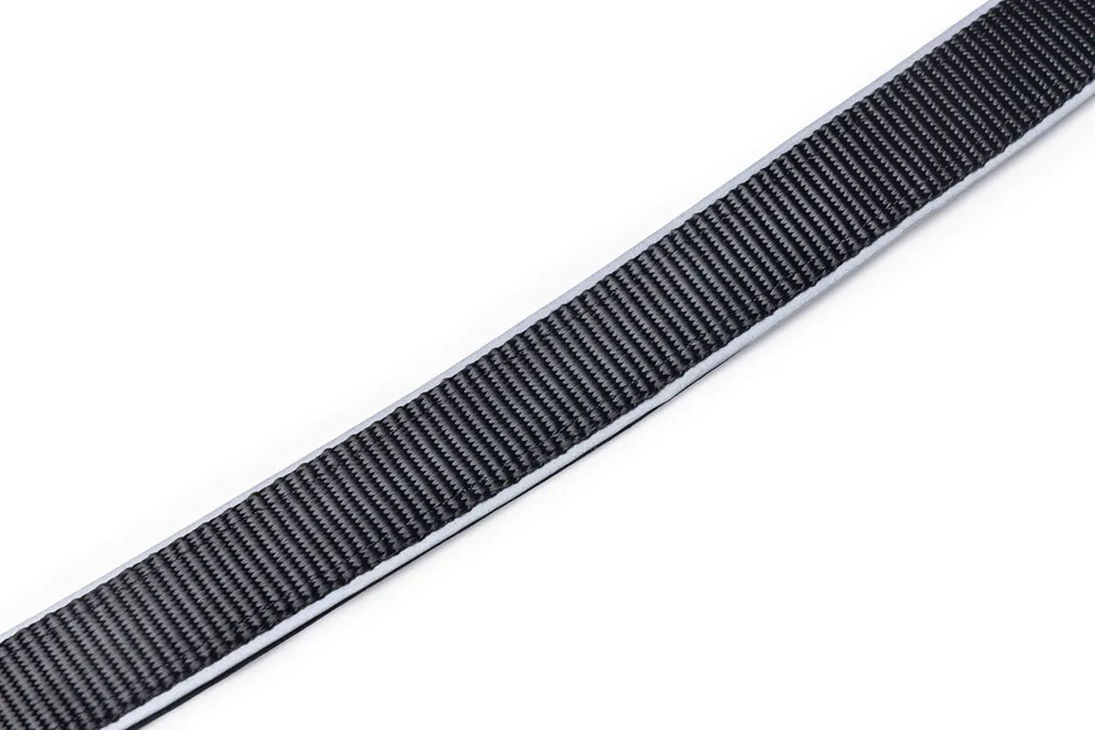 Beeztees Parinca Premium Hondenriem - LED - 150x2,5cm - Zwart