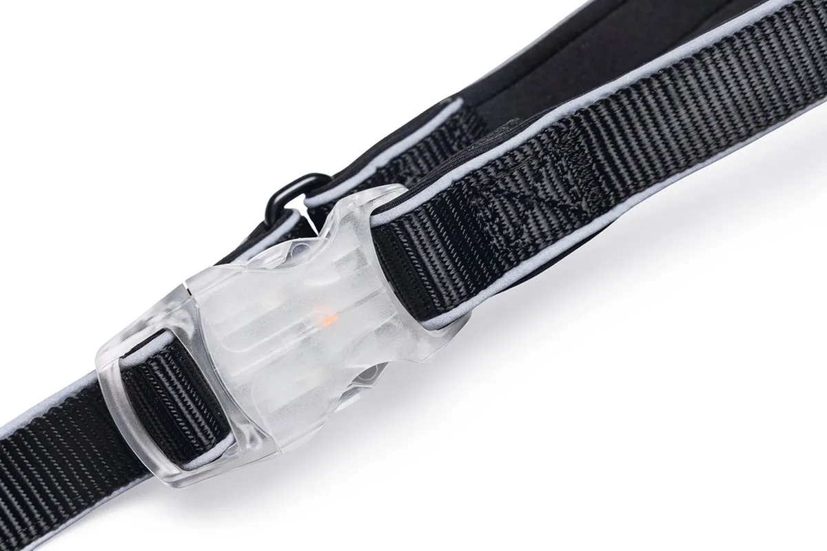 Beeztees Parinca Premium Hondenriem - LED - 150x2,5cm - Zwart