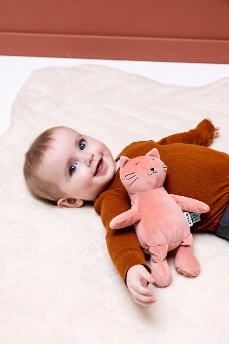 Trixie Kleine Knuffel Mrs. Cat Roze
