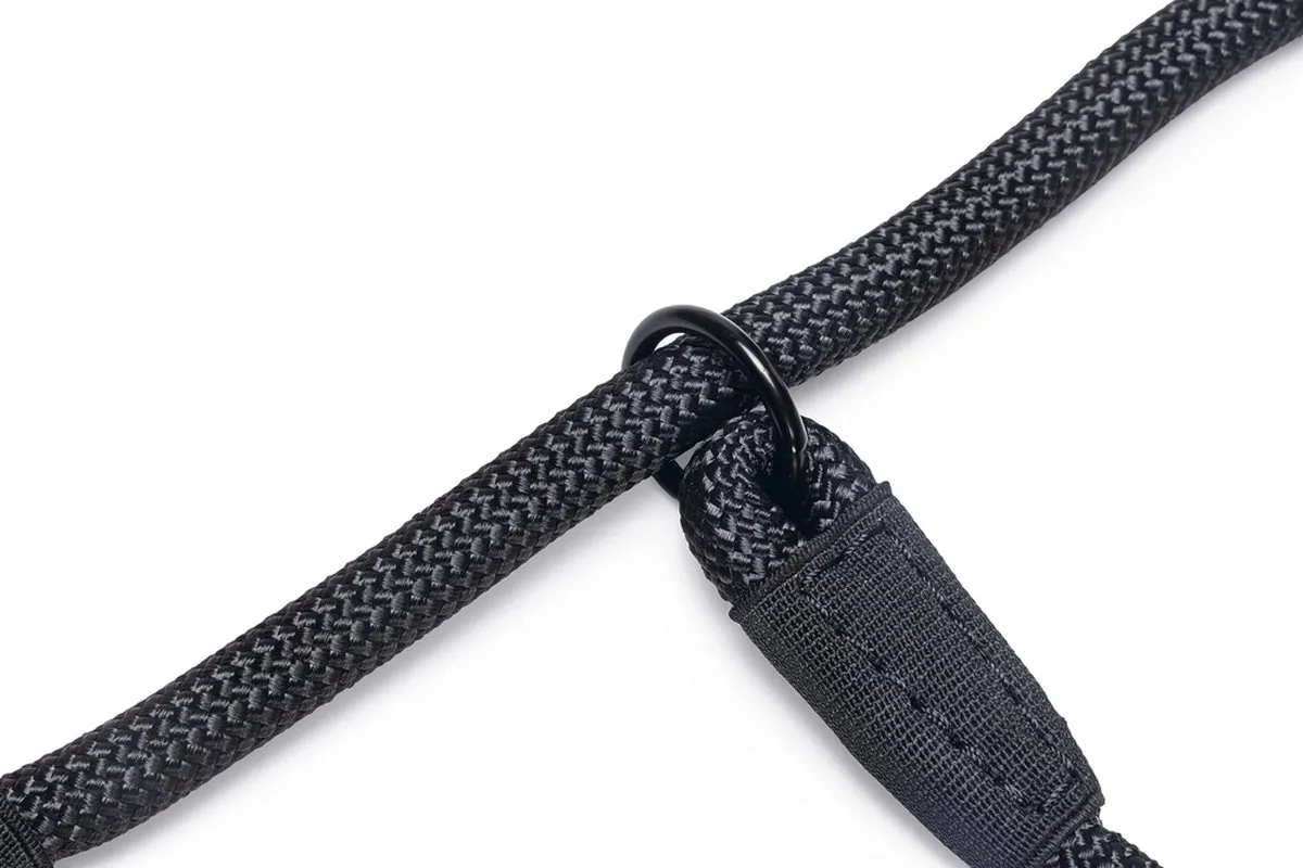 Beeztees Premium Parinca Hondenhalsband - Zwart - afbeelding 3 van 5