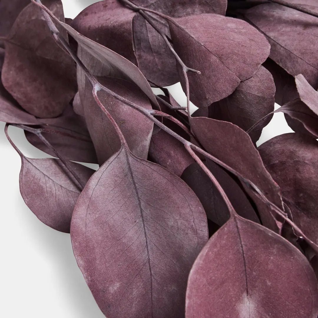 Loberon Decoratieve bloem Ianthee Bordeaux - afbeelding 2 van 4