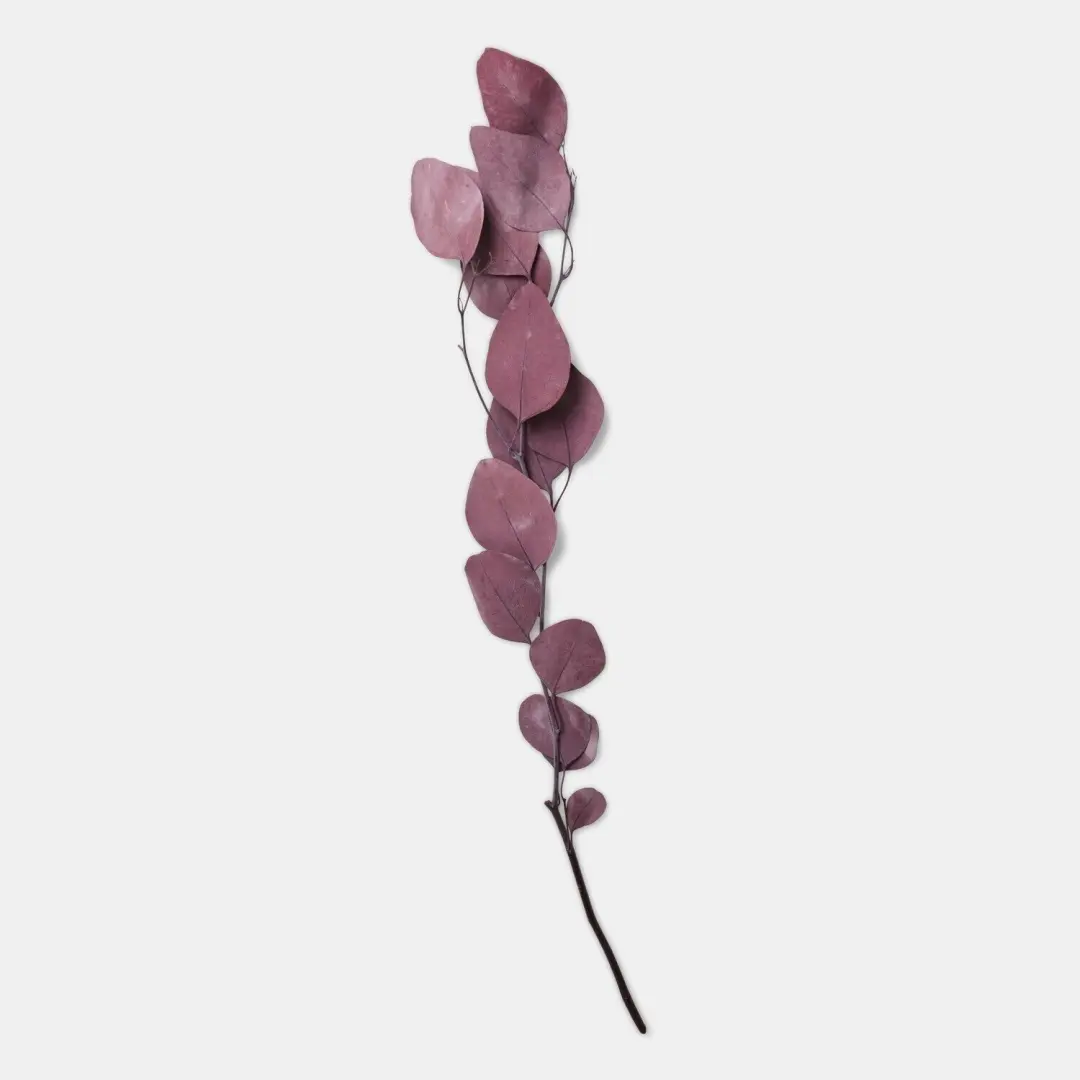 Loberon Decoratieve bloem Ianthee Bordeaux - afbeelding 4 van 4