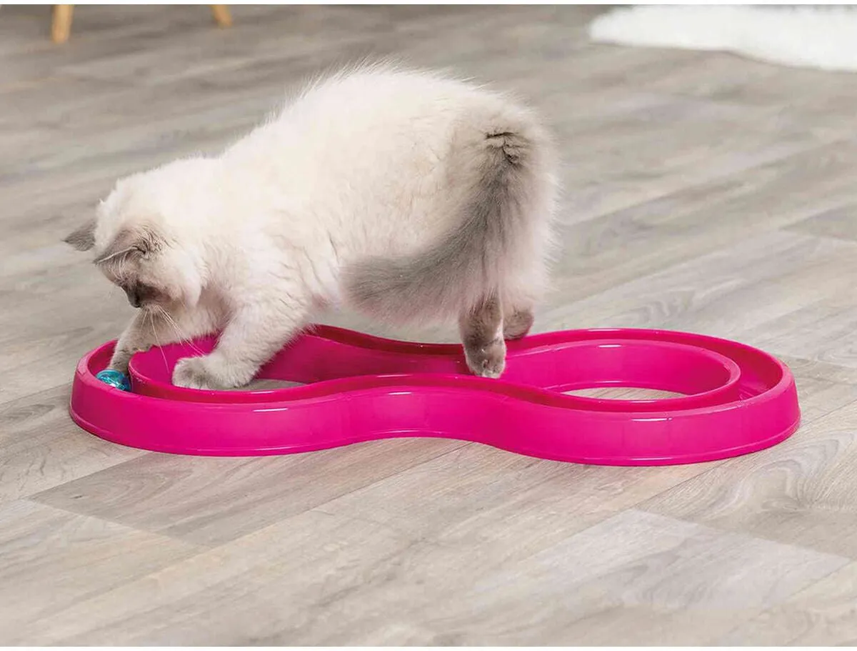Trixie Flitsbal Race Kunststof Roze 65x31cm