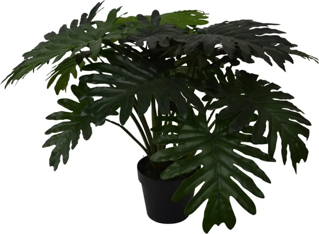 Noach Outdoor Philodendron Xanadu 60cm