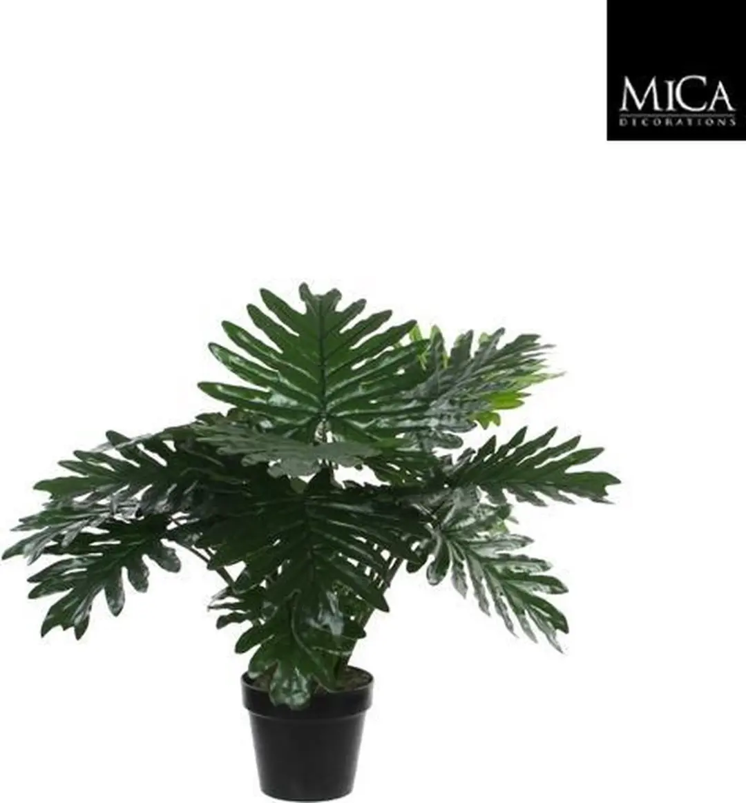 Noach Outdoor Philodendron Xanadu 60cm - afbeelding 3 van 3